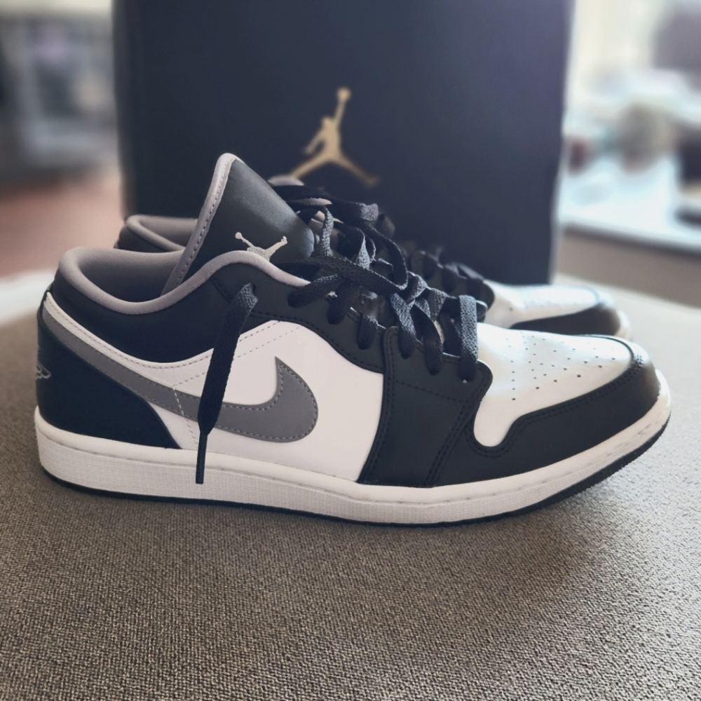 10.5 air jordan 1 low
